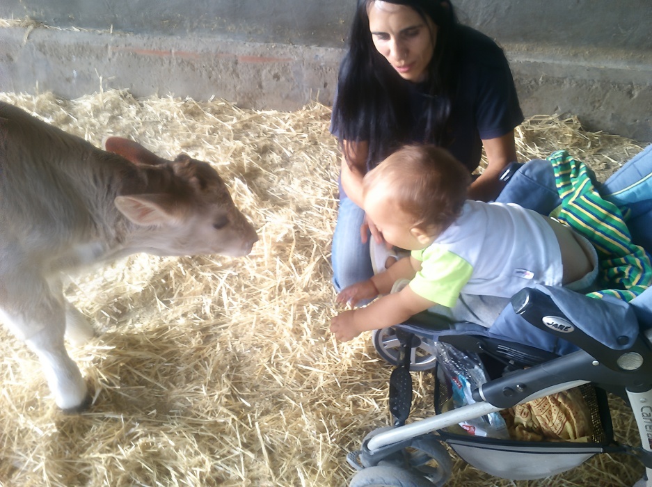 A person and a baby in a stroller
AI-generated content may be incorrect.