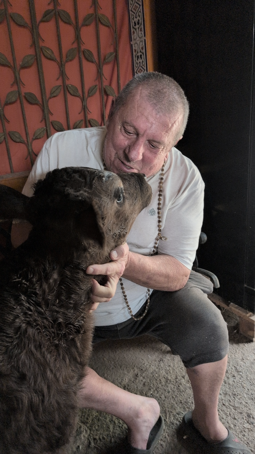 A person petting a calf
AI-generated content may be incorrect.