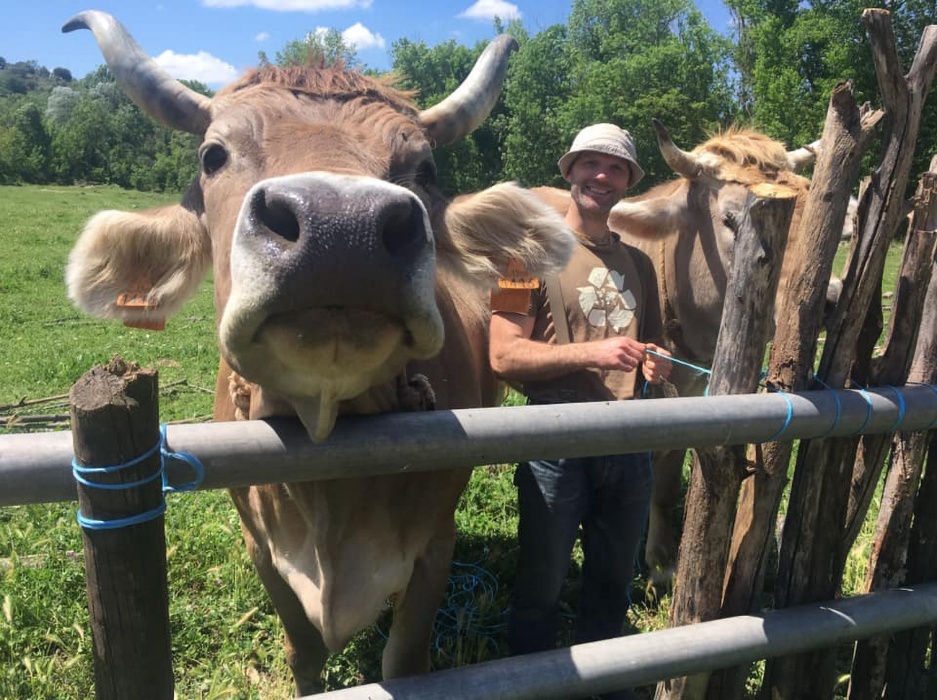 A person standing next to a cow
AI-generated content may be incorrect.