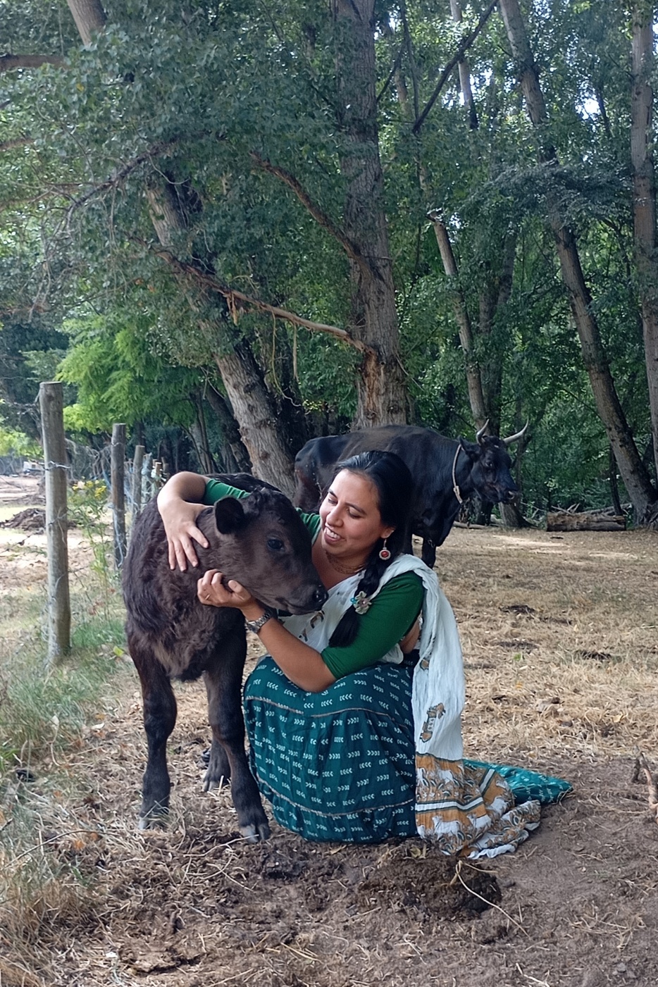 A person sitting next to a cow
AI-generated content may be incorrect.