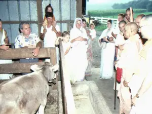 A group of people standing in a barn
AI-generated content may be incorrect.